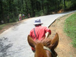 A horse is a horse of course -- up the mountain we go
